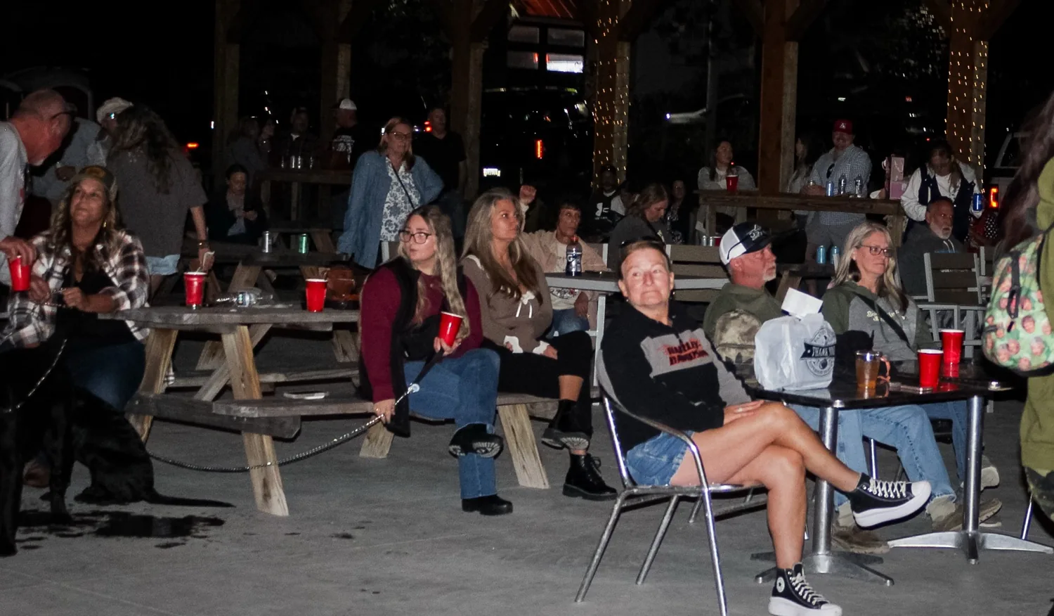Crowd seated at picnic tables and high-top tables inside the pavilion at night watching the show